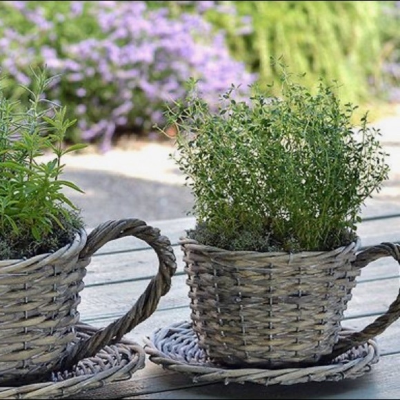 *Vintage* Boho Wicker Teacup Planter Cottagecore - Picture 8 of 9